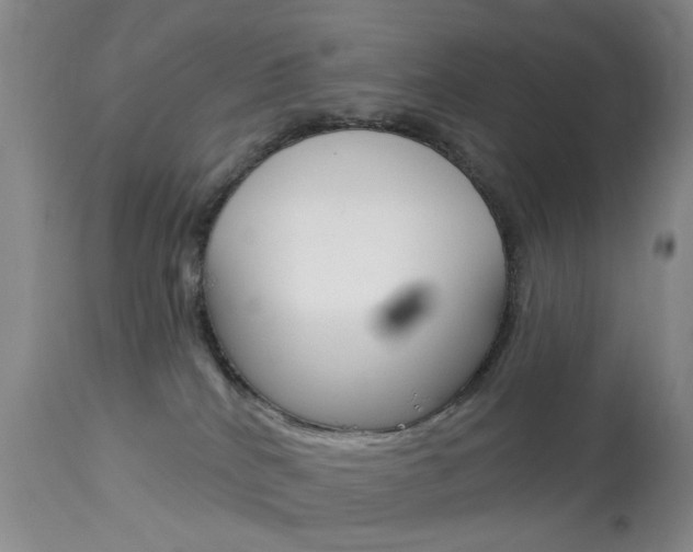 X0000113940040200909250950