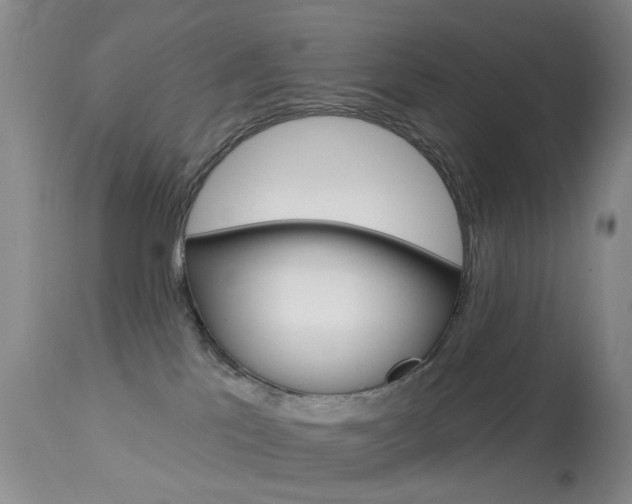 X0000113940041200909250950