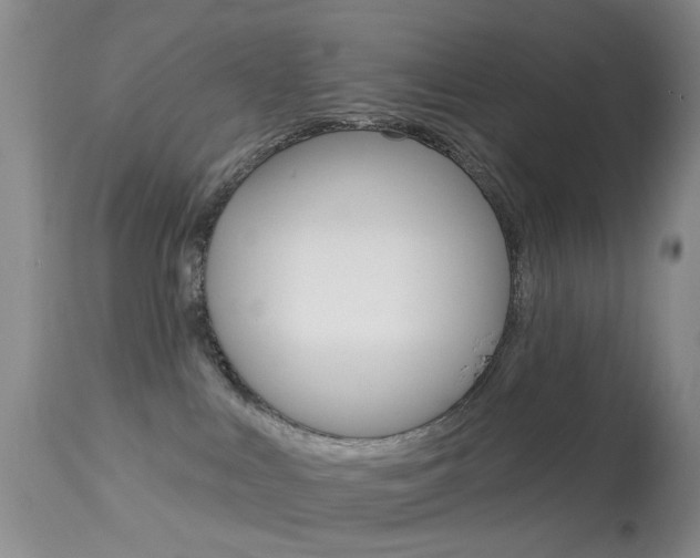 X0000113940043200909250950