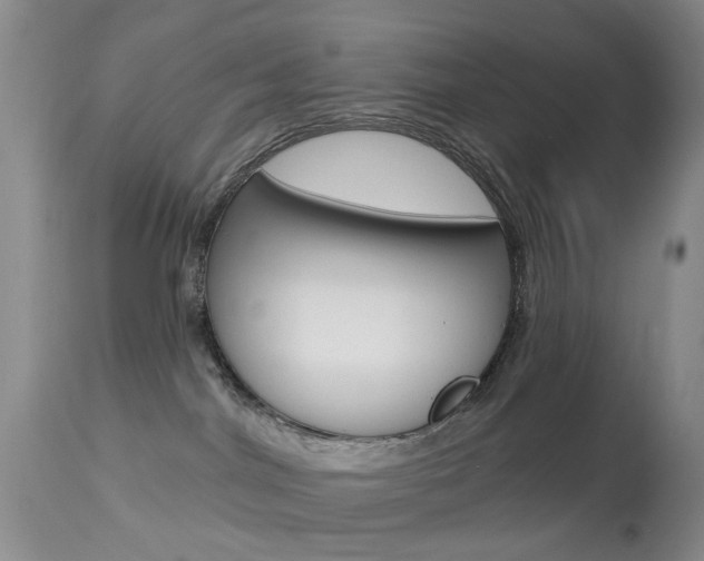 X0000113940044200909250950