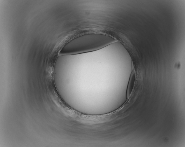 X0000113940045200909250950