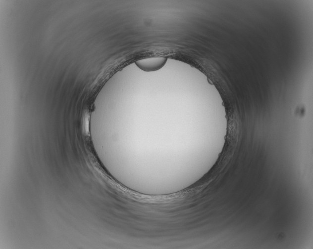 X0000113940046200909250950