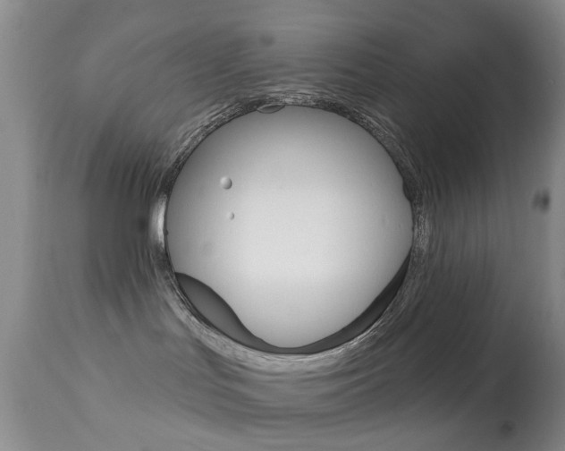X0000113940047200909250949