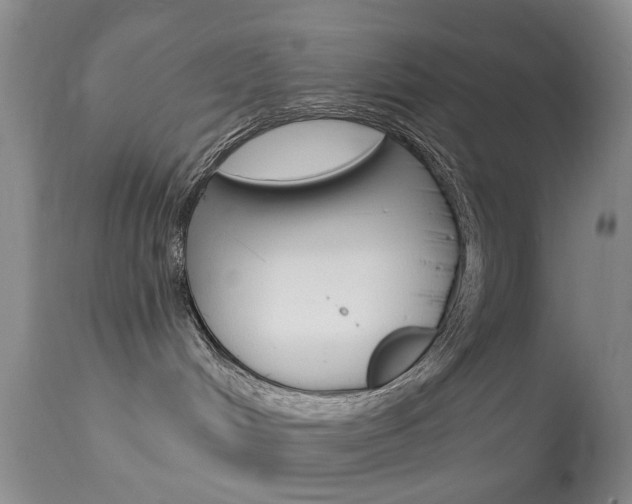 X0000113940048200909250949