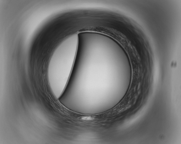 X0000113940050200909250949