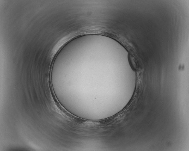 X0000113940051200909250949