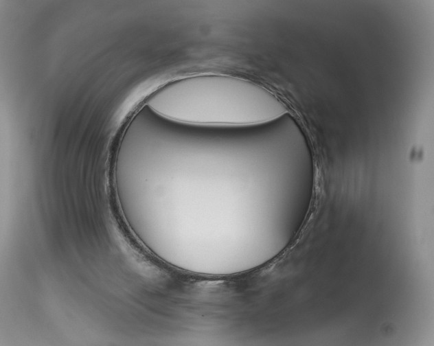 X0000113940054200909250949