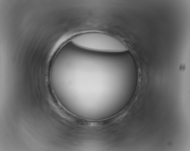 X0000113940056200909250949