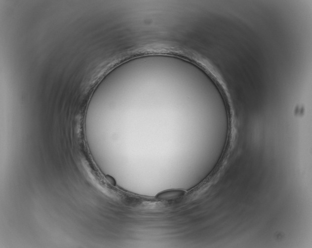 X0000113940057200909250949