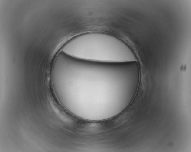X0000113940059200909250949