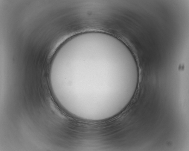 X0000113940060200909250949