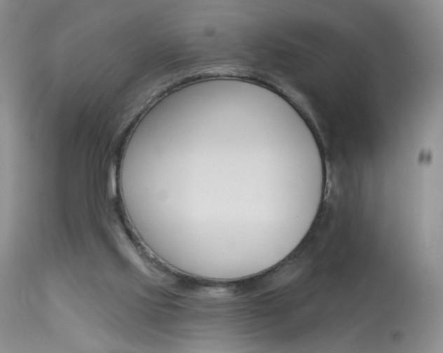 X0000113940061200909250949