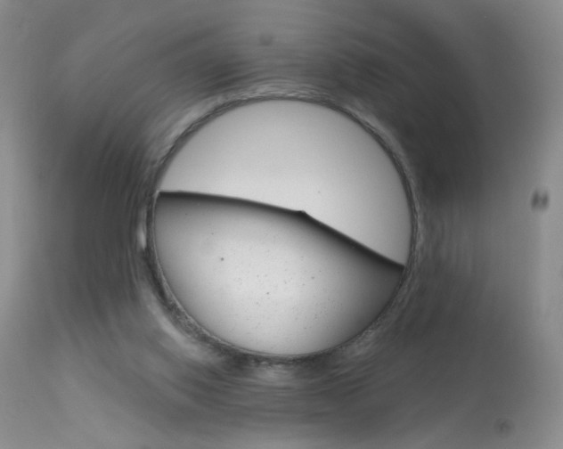 X0000113940062200909250949