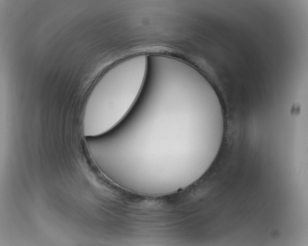 X0000113940063200909250949
