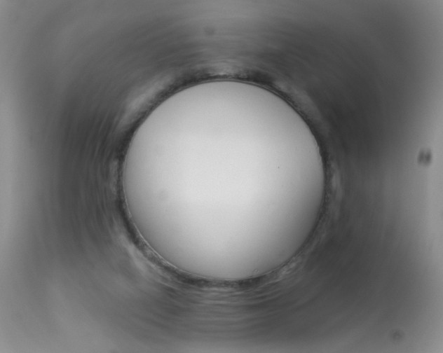 X0000113940066200909250949