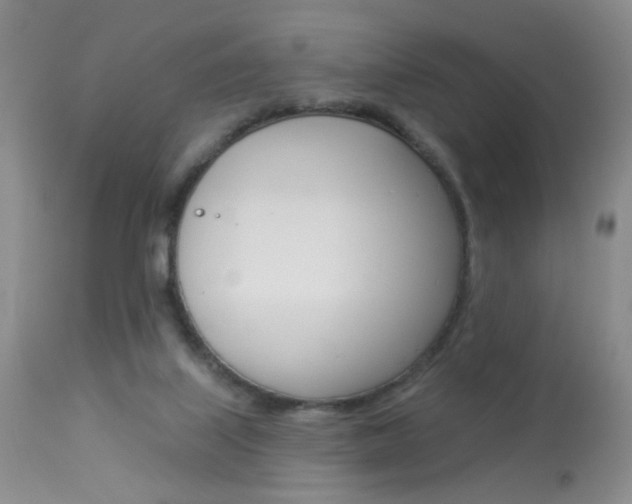 X0000113940067200909250949