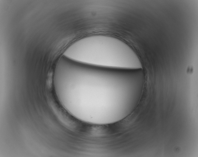 X0000113940070200909250949
