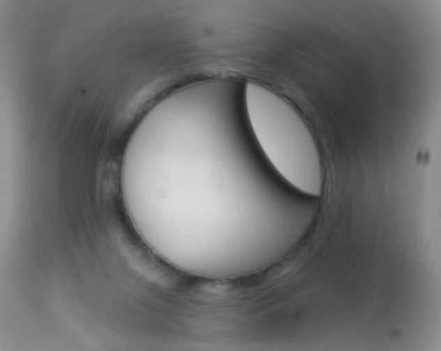 X0000113940071200909250949