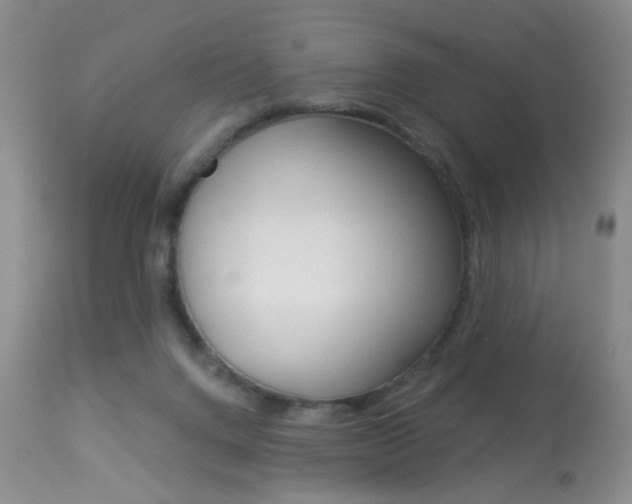 X0000113940072200909250949