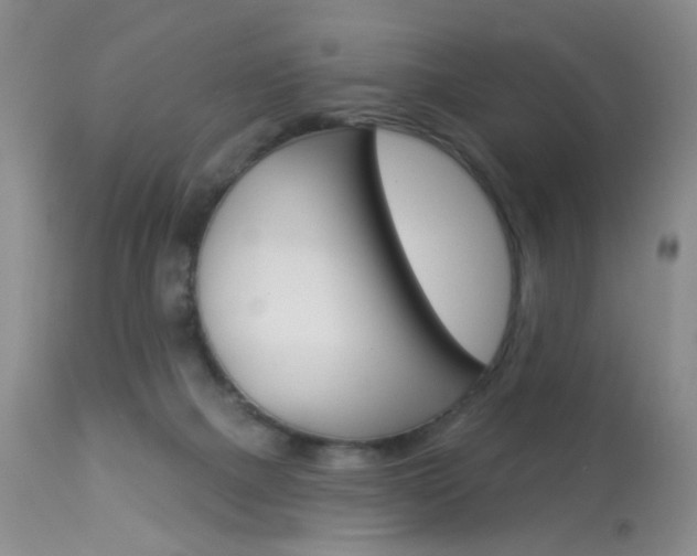 X0000113940073200909250949
