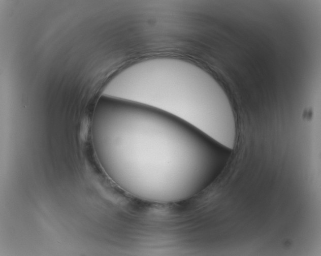 X0000113940076200909250949