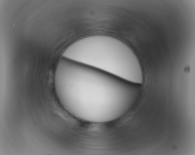 X0000113940077200909250949