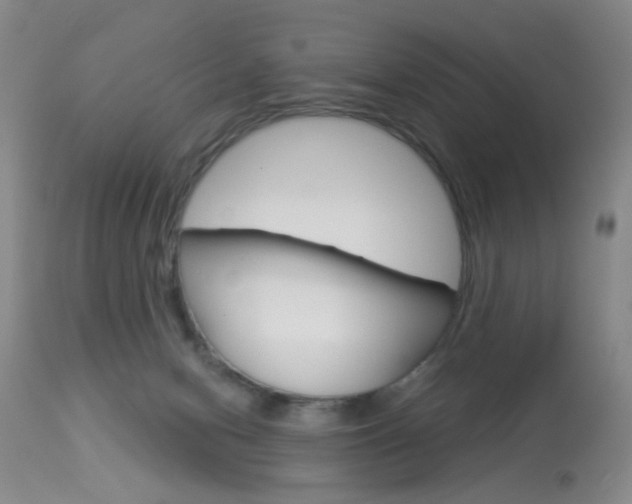 X0000113940078200909250949