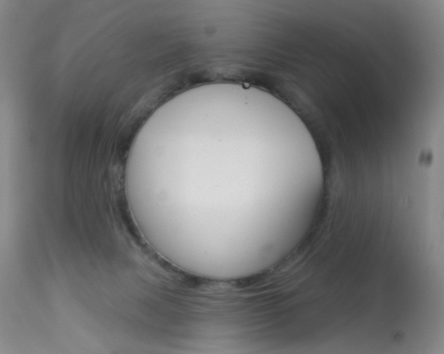 X0000113940079200909250949