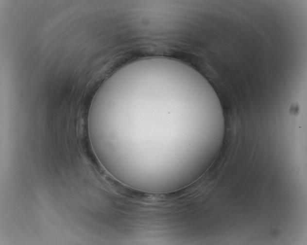 X0000113940080200909250949