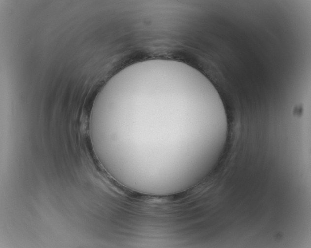 X0000113940081200909250949