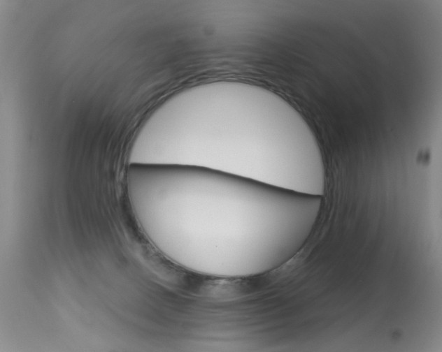 X0000113940082200909250949