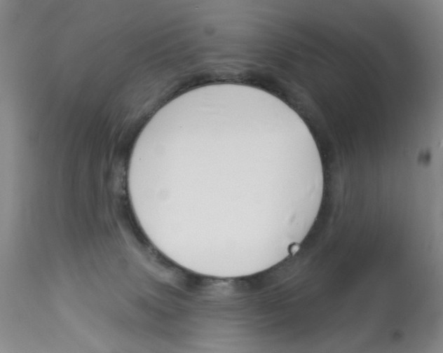 X0000113940083200909250949