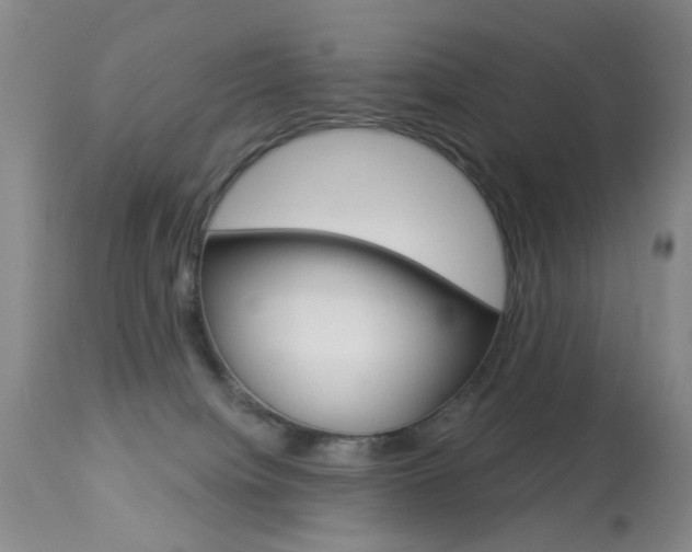 X0000113940084200909250949