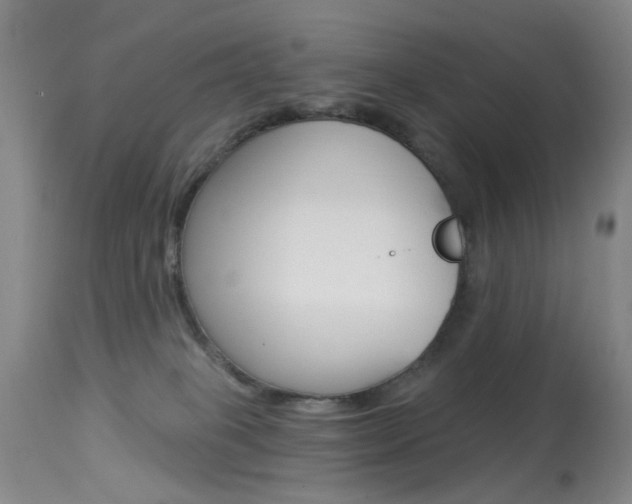 X0000113940085200909250949