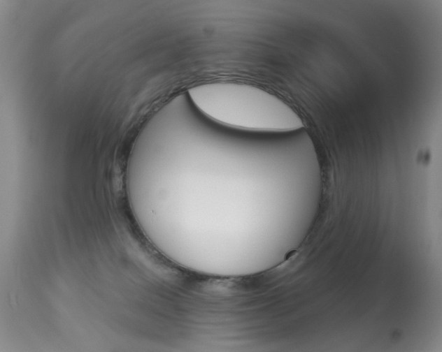 X0000113940086200909250949