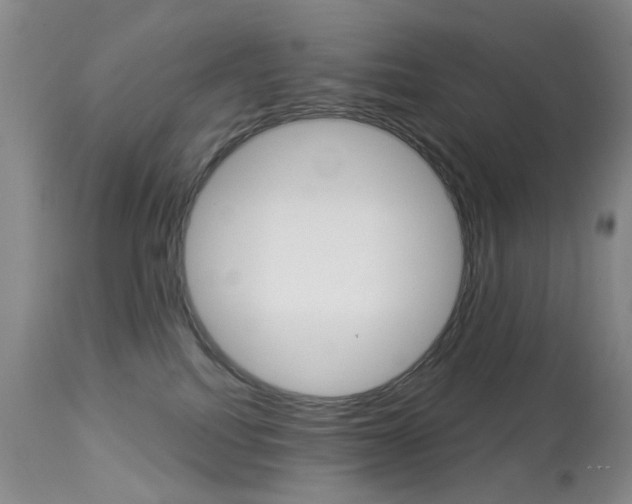 X0000113940088200909250949