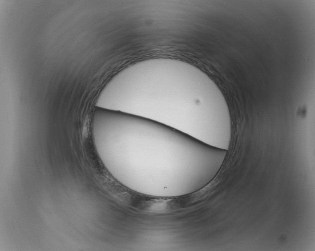 X0000113940090200909250949