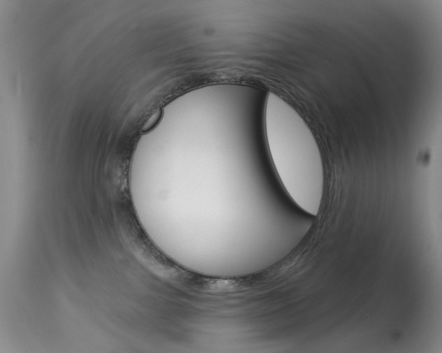 X0000113940091200909250949
