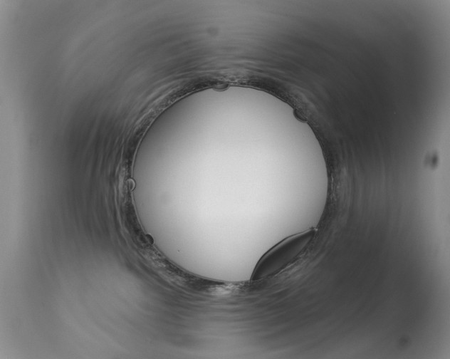 X0000113940092200909250949
