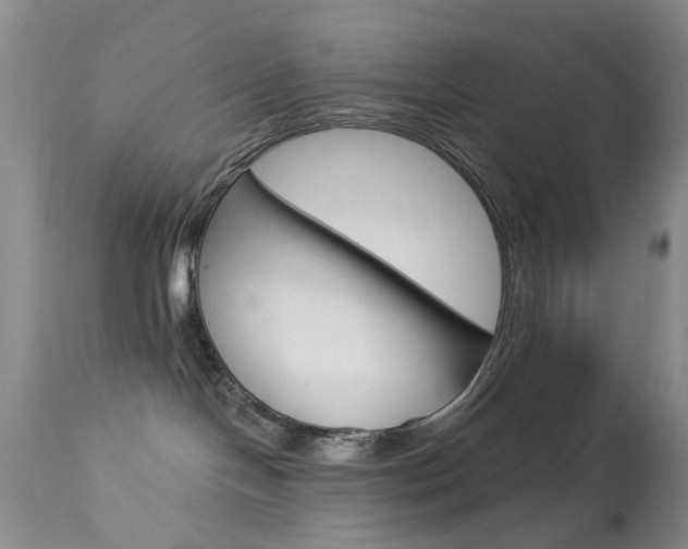 X0000113940094200909250949