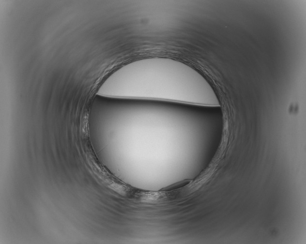 X0000113940096200909250949