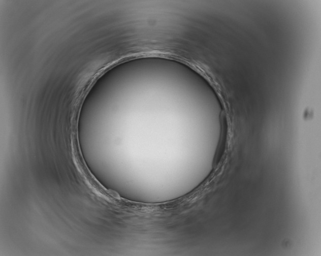X0000113940097200909250949