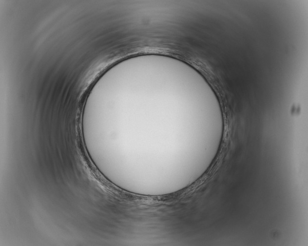 X0000113940098200909250949