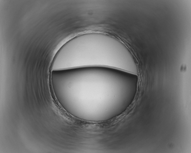 X0000113940100200909250949