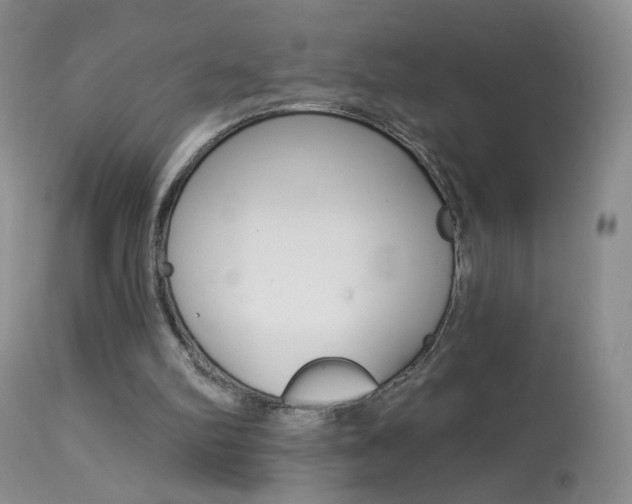 X0000113940102200909250948