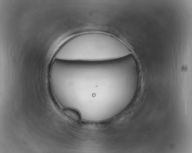 X0000113940103200909250948