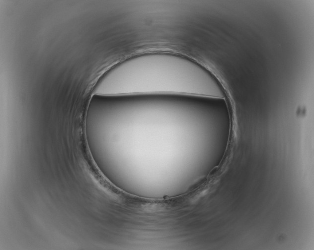 X0000113940105200909250948