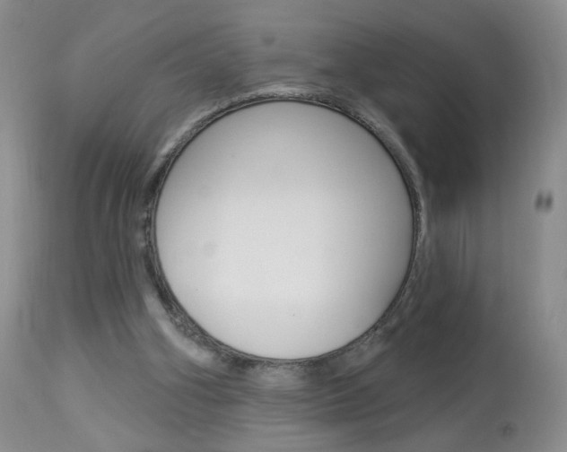 X0000113940106200909250948