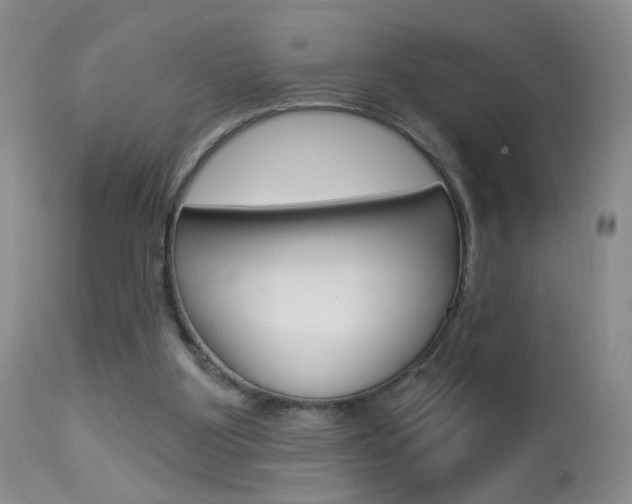 X0000113940107200909250948
