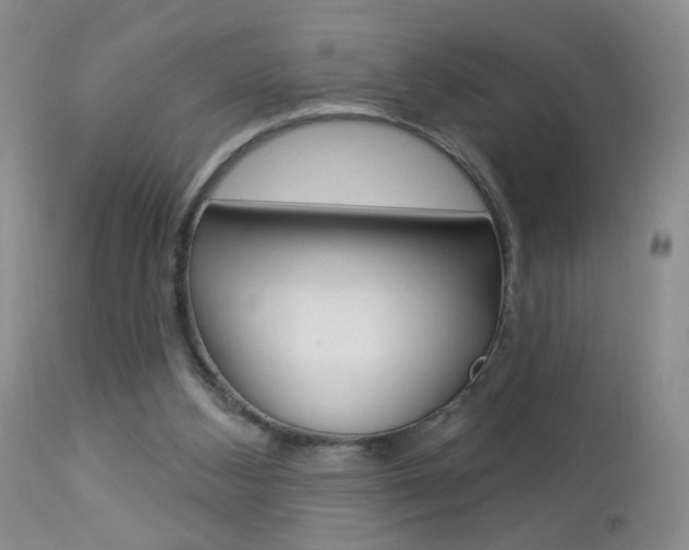 X0000113940108200909250948